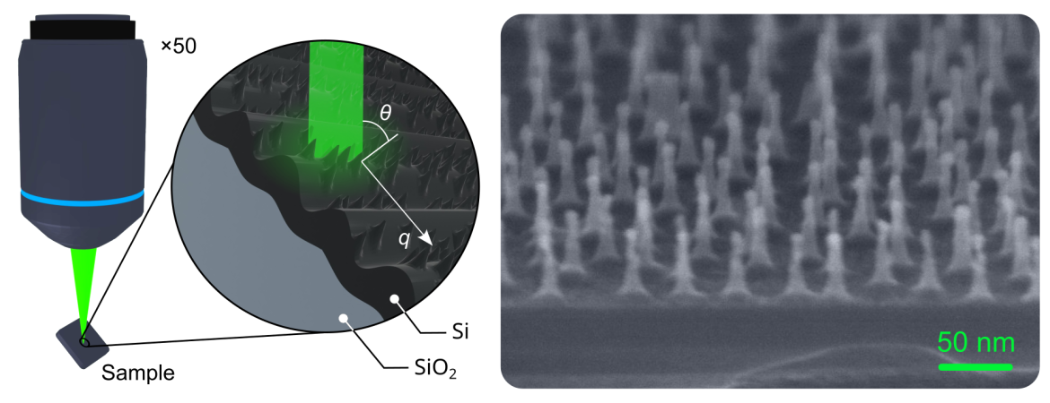 Impact of nanopillars on phonon dispersion and thermal conductivity of silicon membranes
